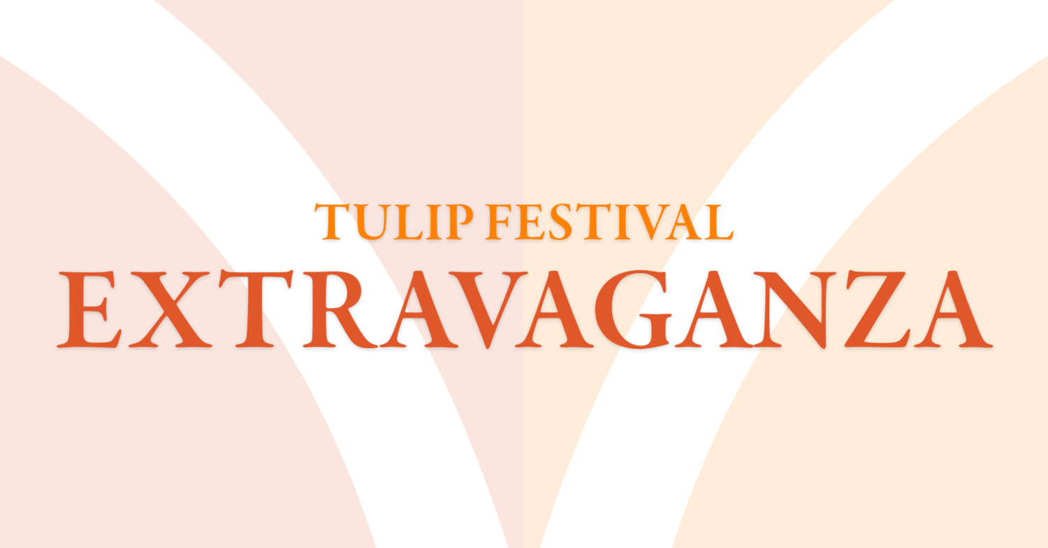 Orange City Tulip Festival May 1517, 2025