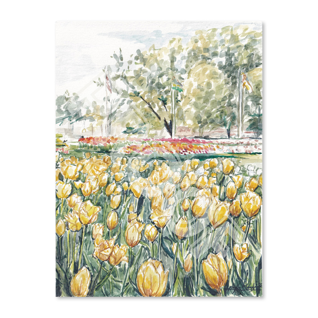 2026 Watercolor Print - Tulips