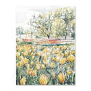 2026 Watercolor Print - Tulips